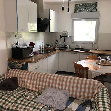 Logement Entier Entree Autonome Ch,Sdd,Cs Privatives Aussonne Eksteriør billede