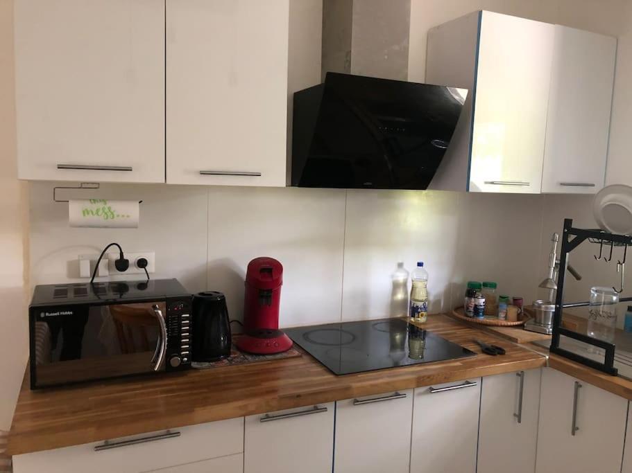 Logement Entier Entree Autonome Ch,Sdd,Cs Privatives Aussonne Eksteriør billede