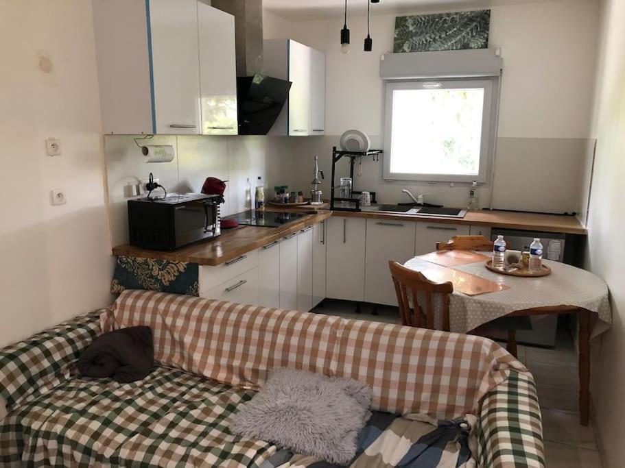 Logement Entier Entree Autonome Ch,Sdd,Cs Privatives Aussonne Eksteriør billede
